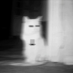 the corruption of my rituals