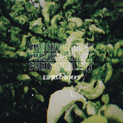 Tainted Mirrors - without you