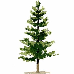 Pine Trees (prod. justice.)
