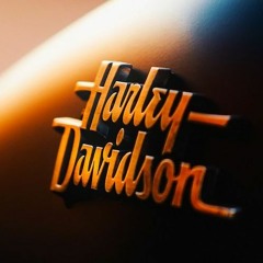 Musty Motorcycle Groove & Harley Davidson History by Carlos Fontes