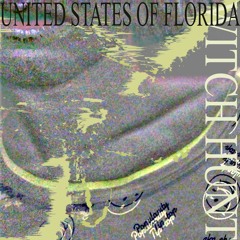 UNITED STATES OF FLORIDA - WITCH HUNT