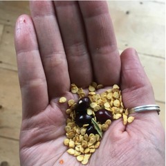 grateful | complexity