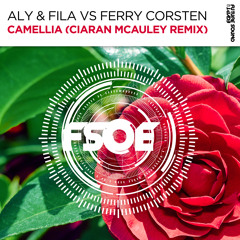 Aly & Fila vs Ferry Corsten - Camellia (Ciaran McAuley Remix) [FSOE]