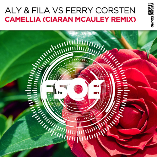 Aly & Fila vs Ferry Corsten - Camellia (Ciaran McAuley Remix) [FSOE]