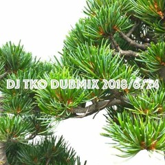 TKO DUB MIX 2018 623 @赤壁邸