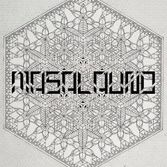 Shiva Place (Egova mix) 151 bPm preview