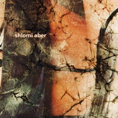 Figure 98 - Shlomi Aber - Whistler (preview)