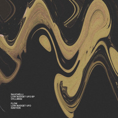 Sauchelli - Flow (original Mix) Snippet