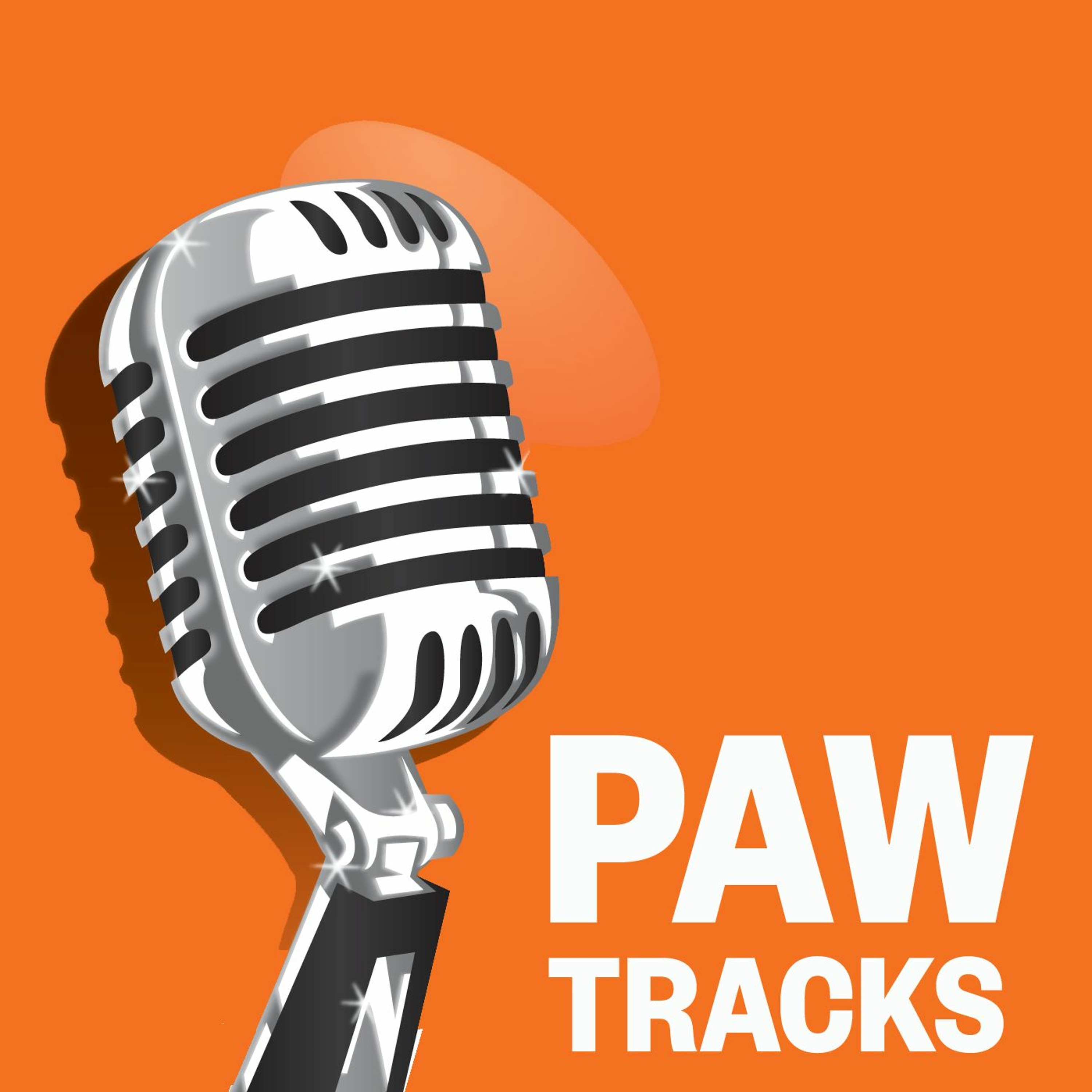 PAW Tracks: A Golden Age on the Gridiron (William Ledger '54) episode artwork