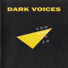 dsN - Dark Voices (Original Mix)[Spinnin Records Talent Pool]