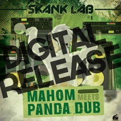 Mahom - La marche de la 7eme tortue + part 2 Panda dub remix