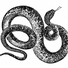 Objects Limited - RA Label Of The Month