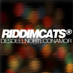 Riddim Cats - No hace falta