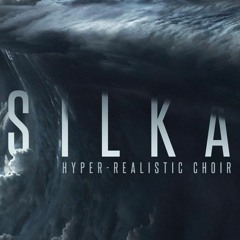 8Dio Silka