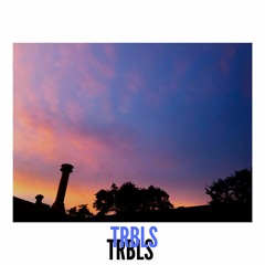 TRBLS (Ft: Donald Leone) [prod. CANNIS MAJOR]