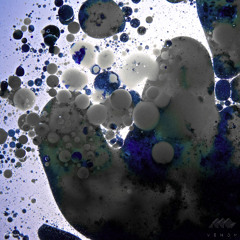 Premiere: In Anima - Void Observatory (Pisetzky Remix) [Venom Recordings]