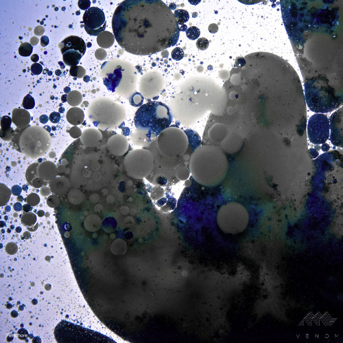 Premiere: In Anima - Void Observatory (Pisetzky Remix) [Venom Recordings]