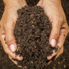 Dirt On My Name Ft Guappo