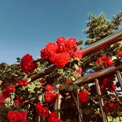 Yours (Prod. By Blu Majic) ft Kp Kano & Tony Lovette