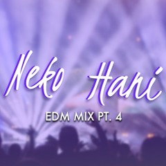 EDM Mix Pt. 4 (2016)