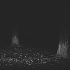 "No1kn0ws" $uicideboy$, Warlord Colossus type beat. (DESC. FOR PRICES)