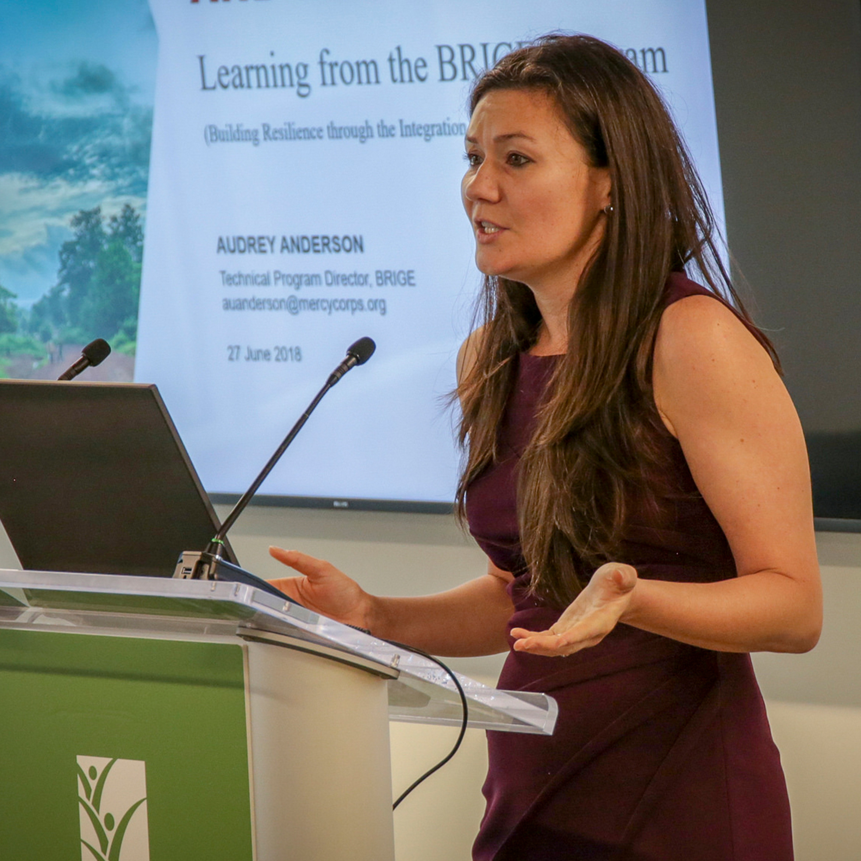 IFPRI Policy Seminar:  Addressing gender and social barriers to resilience - 6/27/2018 - AAnderson episode artwork