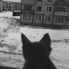 barreto- quando eu fecho os olhos