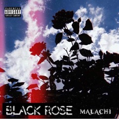 Black Rose