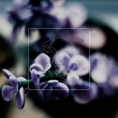 sigma - find me ft. birdy (vowl. remix)