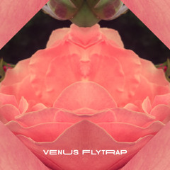 Venus FlyTrap