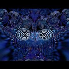 L.E.D. - INVISIBLE STRIX