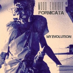 Mood Exhibit & Fornicata -My Evolution