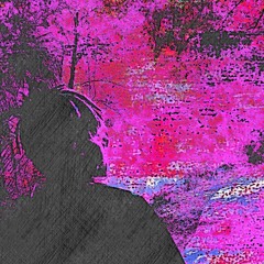 still hidden [prod.plaza$am]