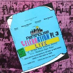 Stumpy  - Penthouse Celebration Pt.3 (Live At 56 Slipe Road)