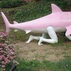 robotfishfight