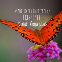 Made to Fly (ButterFLY) freestyle