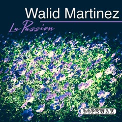 Walid Martinez - La Passion (Edit) DOPEWAX RECORDS