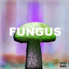FUNGUS Remix feat. JP (prod. by Daryn Bennett)
