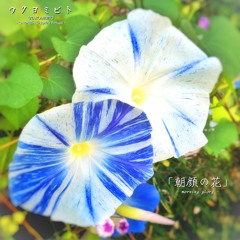 朝顔の花 ウタヨミビト 40sec