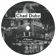 Chad Dubz - Wisdom EP [SUBA003 Showreel]