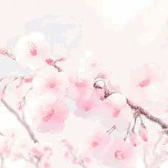 Chill & Lofi Hip Hop Instrumental - 𝑠𝑝𝑟𝑖𝑛𝑔 - S a t o s h i