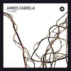 James Zabiela - Vines (HOLOVR Remix)