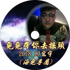 龜龜帶你去搖頭.2018 DJ宏宇 海龜專屬