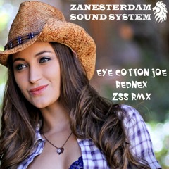 Cotton eye Joe - Rednex (ZSS RMX)