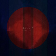 Salvia