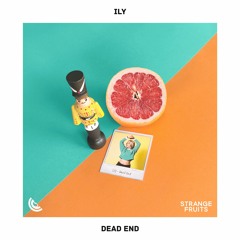 ILY - Dead End 🍉