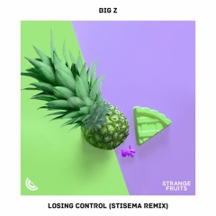 Big Z - Losing Control (Stisema Remix) 🍉