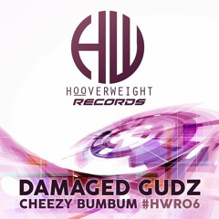 Damaged Gudz - Cheezy BumBum