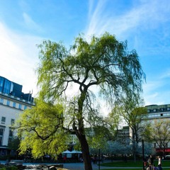 Välmående [Juni 2018]