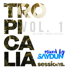SAYDUN - TROPICALIA Sessions VOL 1